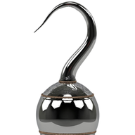 Icona dell'applicazione